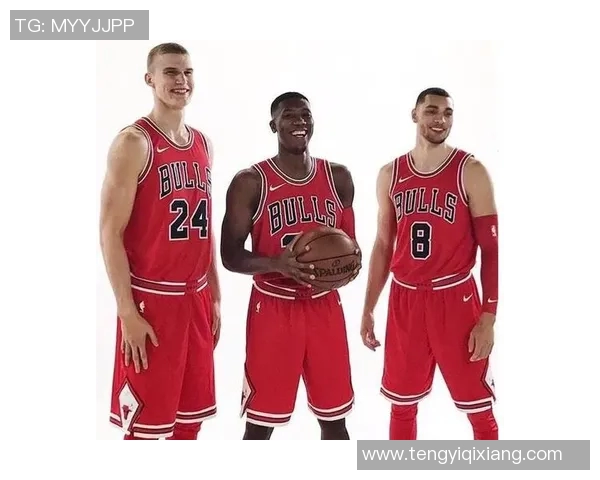 芝加哥体育明星排行榜揭晓谁将成为城市的运动传奇与偶像